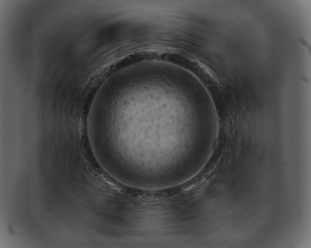 X0000093220821200709261630