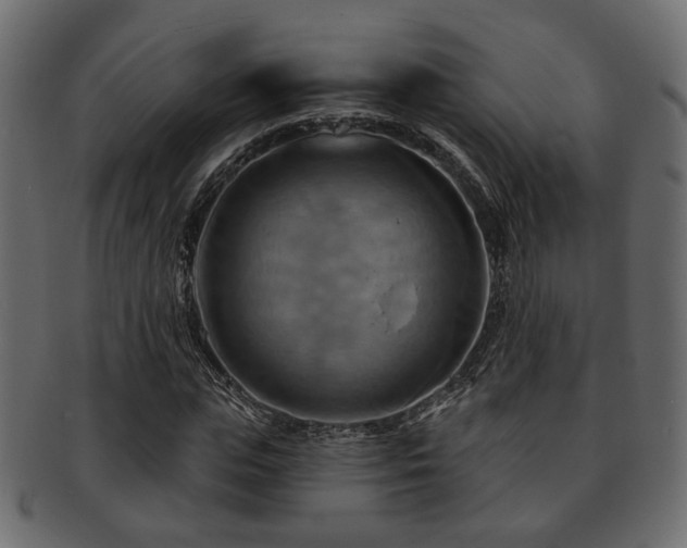 X0000093220823200709261630