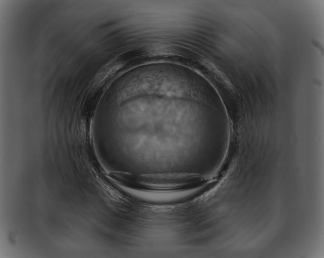 X0000093220825200709261630