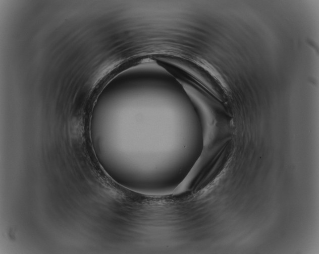 X0000093220826200709261630