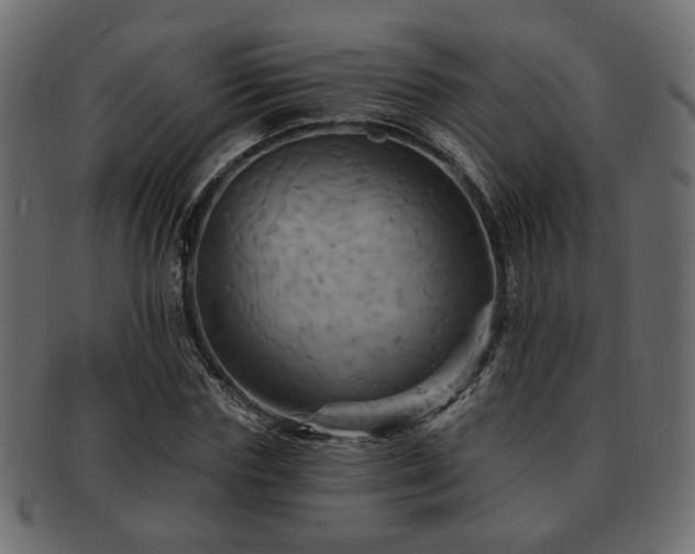 X0000093220827200709261630