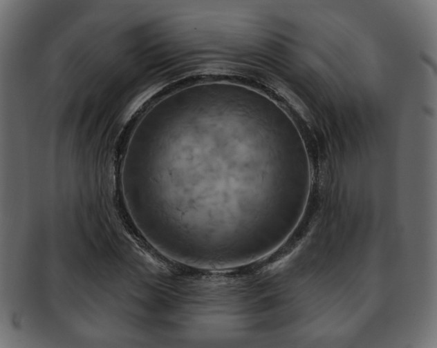 X0000093220829200709261630
