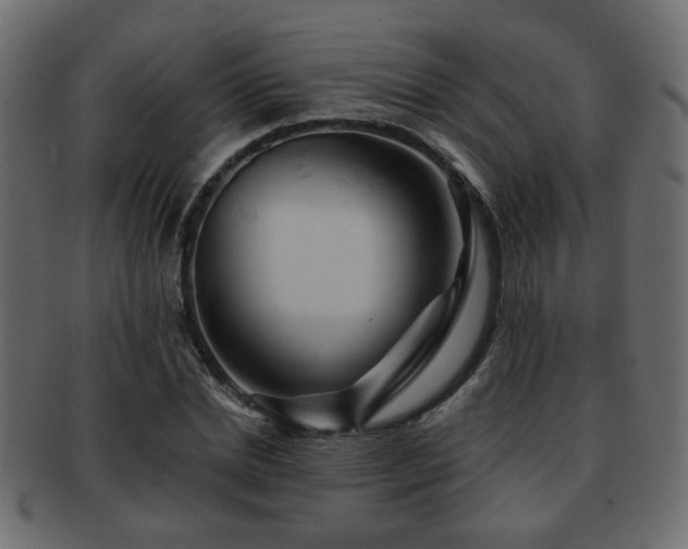 X0000093220830200709261630