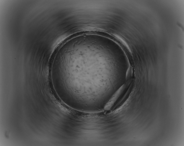 X0000093220831200709261630