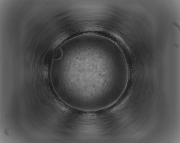 X0000093220833200709261630