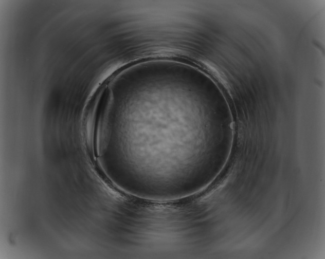 X0000093220835200709261630