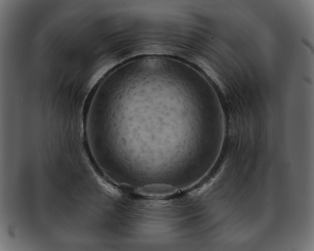 X0000093220837200709261630