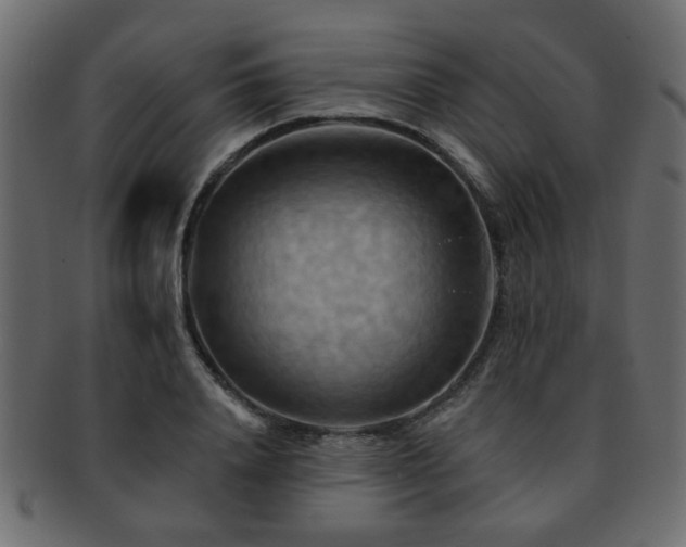 X0000093220840200709261630