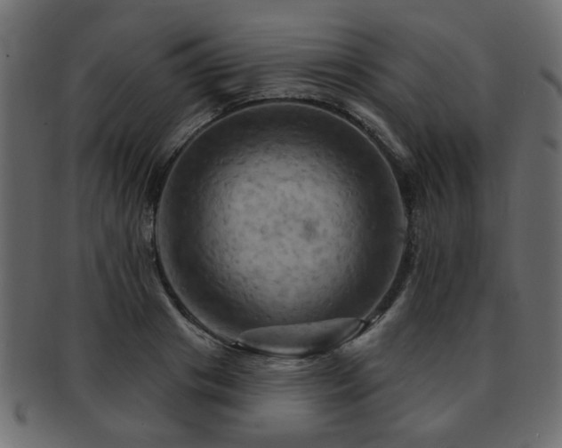 X0000093220841200709261630