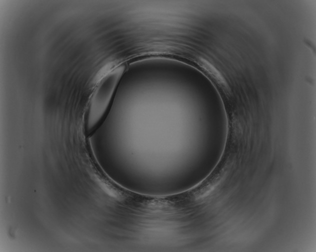 X0000093220842200709261630