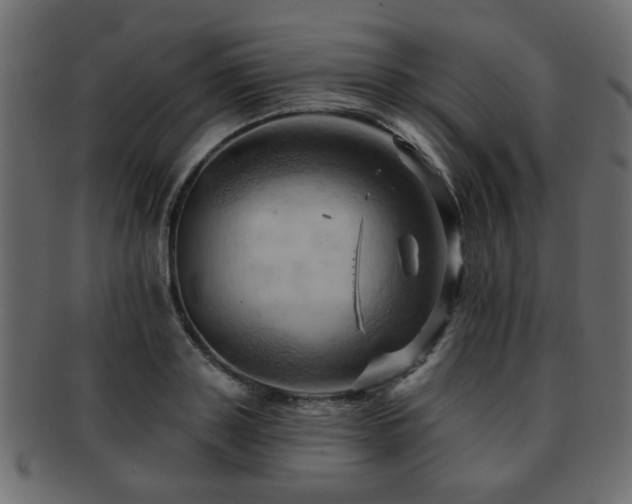 X0000093220843200709261630
