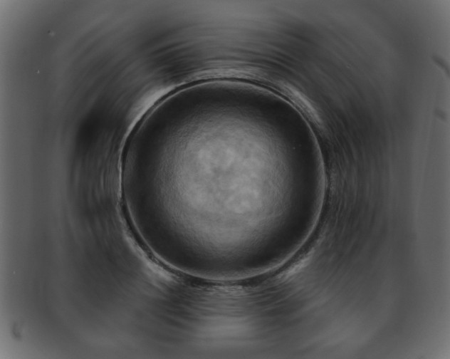 X0000093220844200709261630
