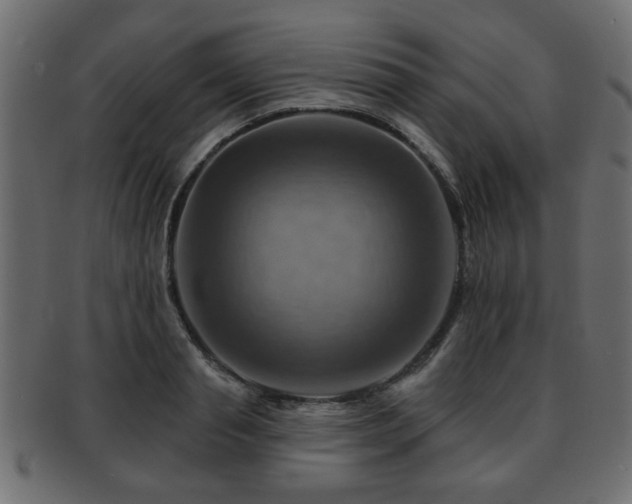 X0000093220845200709261630
