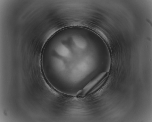 X0000093220847200709261630