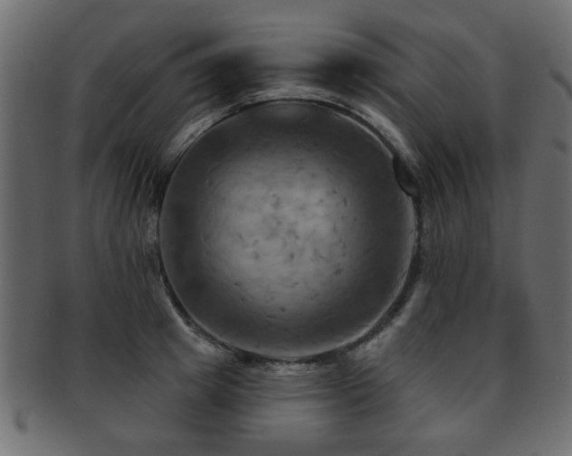 X0000093220849200709261630