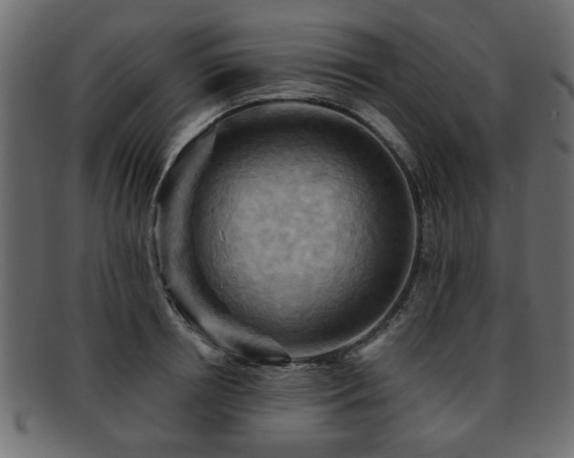 X0000093220850200709261630