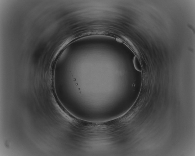 X0000093220851200709261630