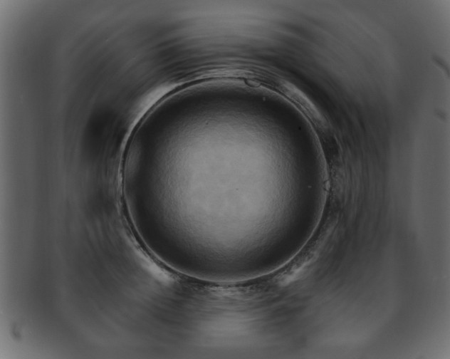 X0000093220852200709261630