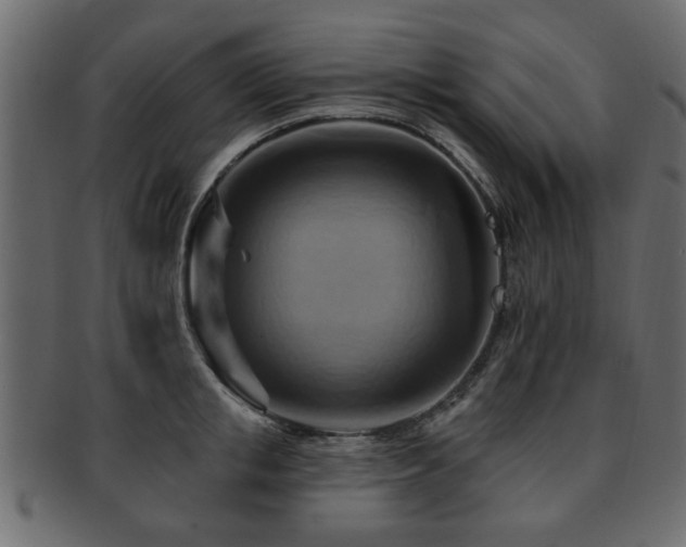 X0000093220853200709261630