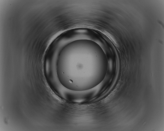 X0000093220854200709261630