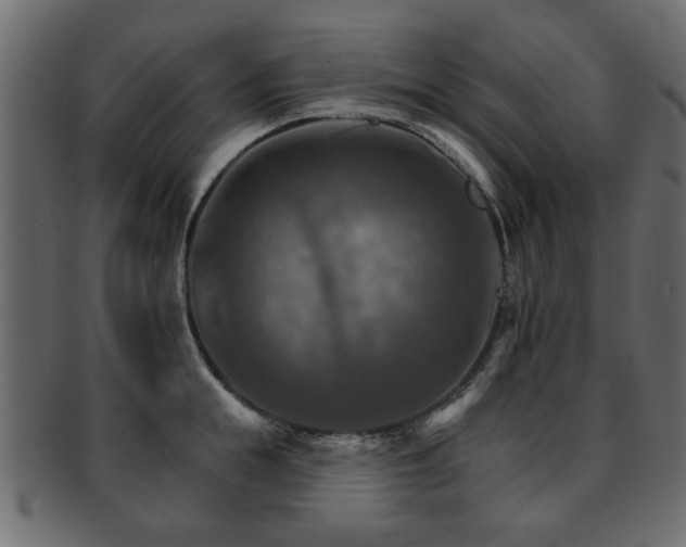 X0000093220855200709261630