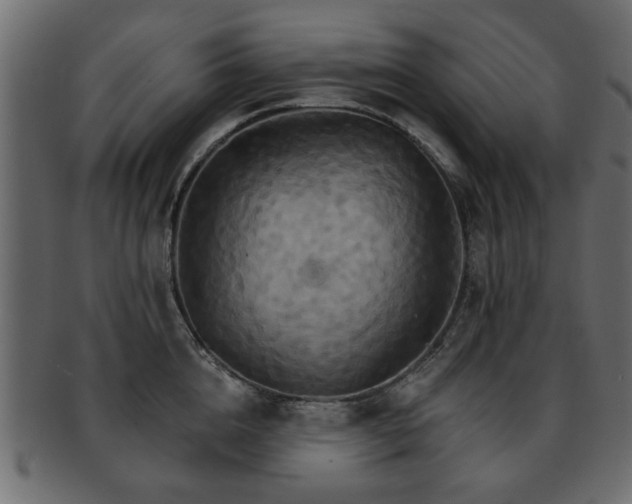 X0000093220856200709261630