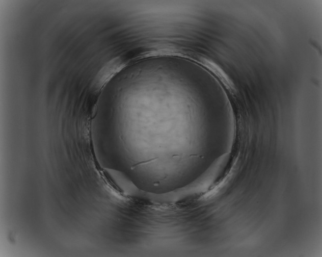 X0000093220857200709261630