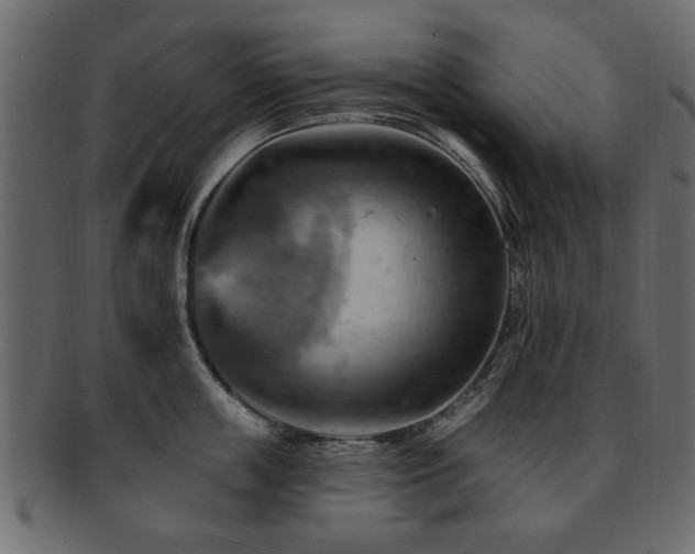 X0000093220859200709261630
