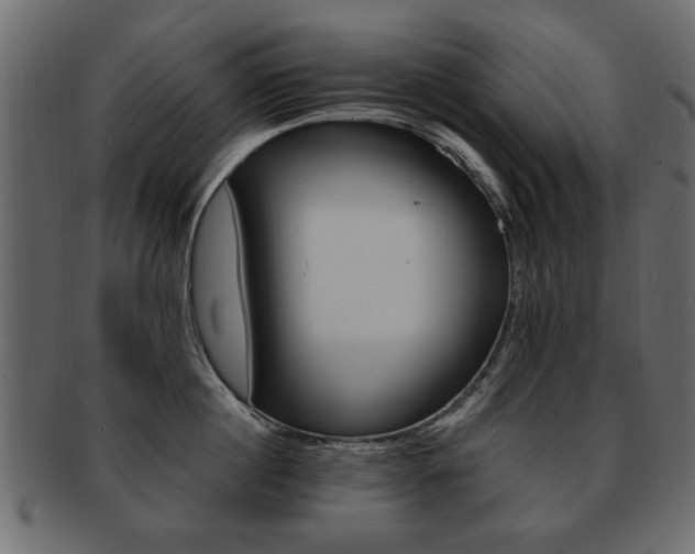 X0000093220860200709261630