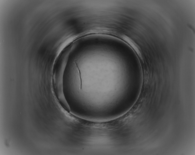 X0000093220861200709261630