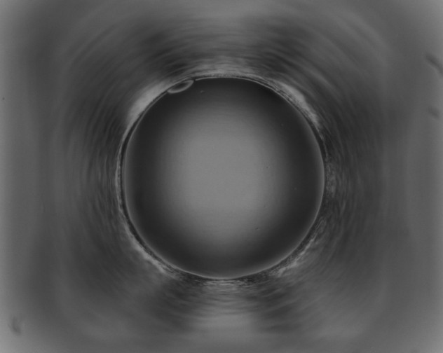 X0000093220863200709261630