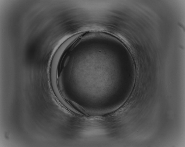 X0000093220864200709261630