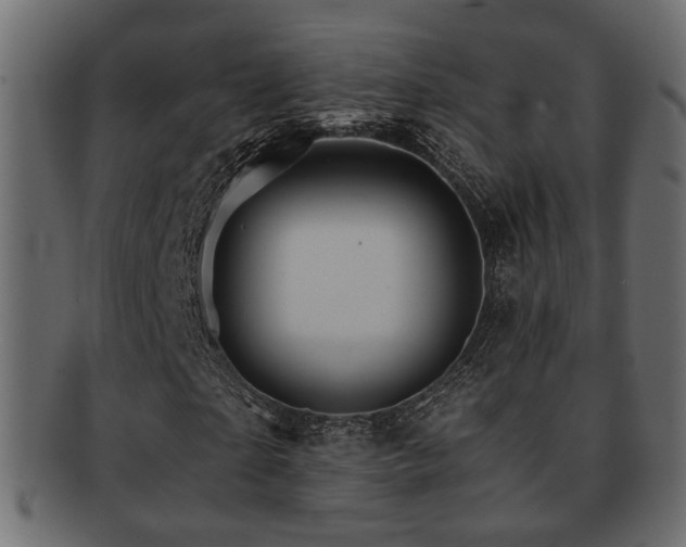 X0000093220865200709261629