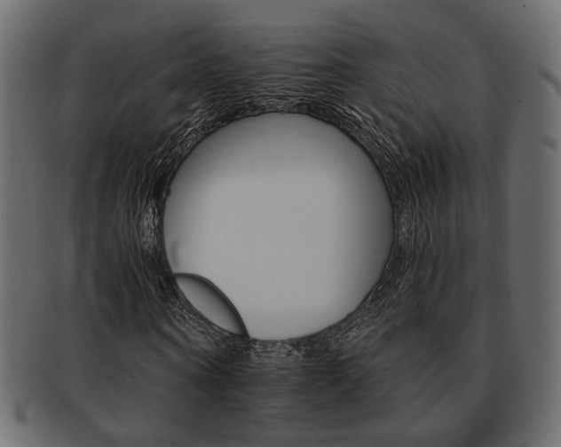 X0000093220866200709261629