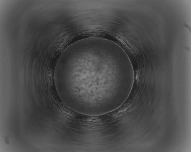 X0000093220867200709261629