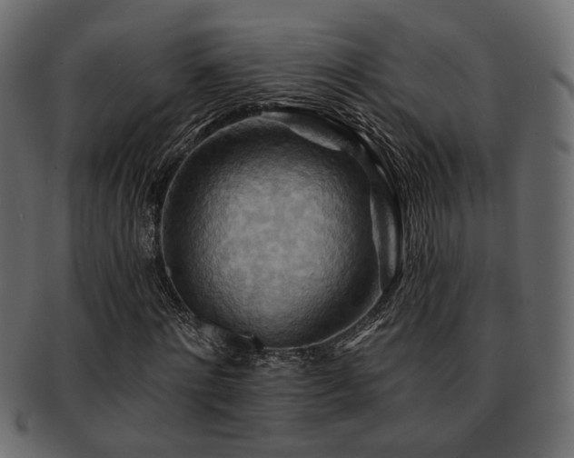 X0000093220868200709261629