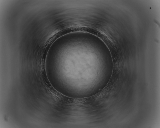 X0000093220870200709261629