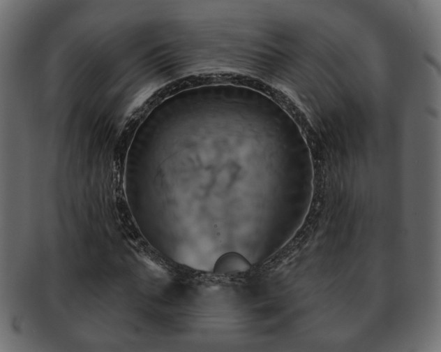 X0000093220871200709261629