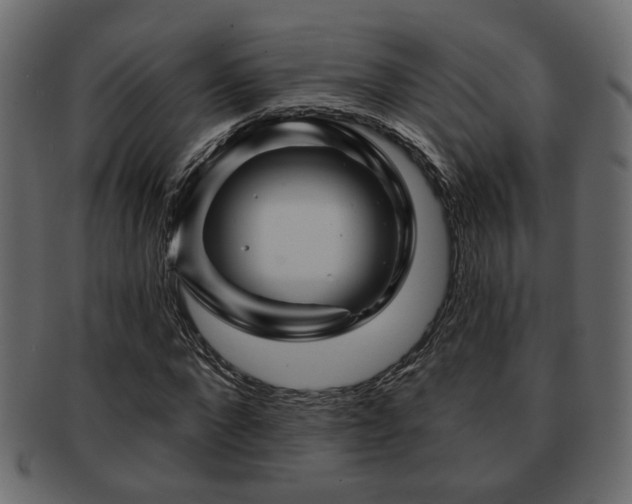 X0000093220872200709261629