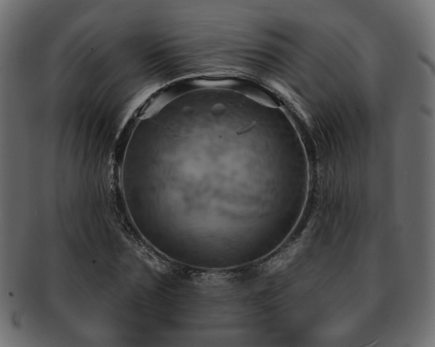 X0000093220875200709261629