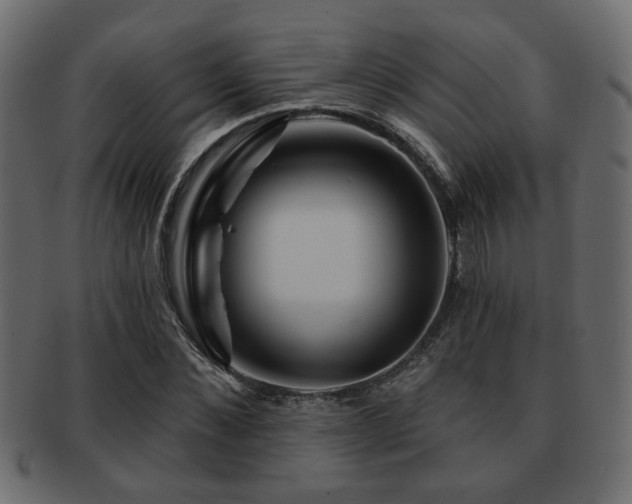X0000093220876200709261629
