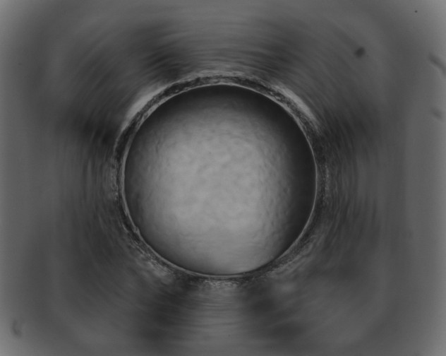 X0000093220878200709261629