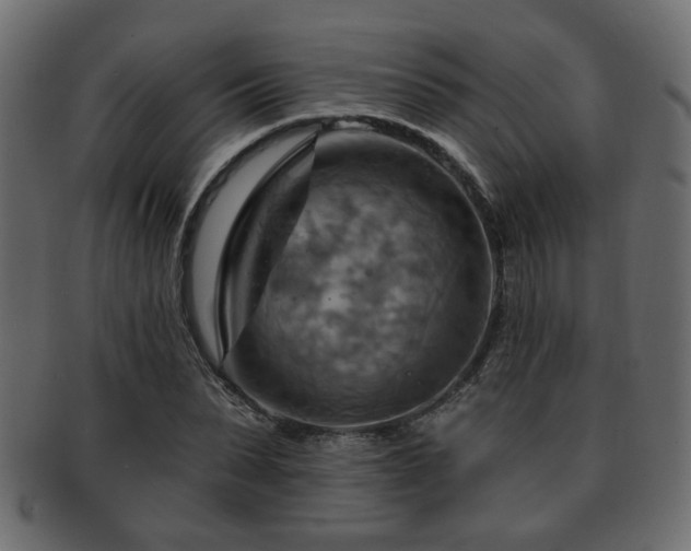 X0000093220879200709261629