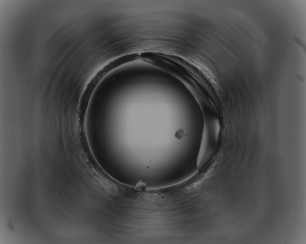 X0000093220880200709261629