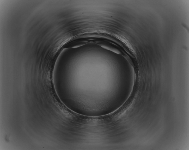 X0000093220881200709261629