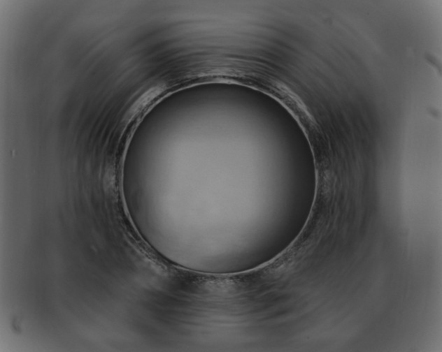 X0000093220882200709261629