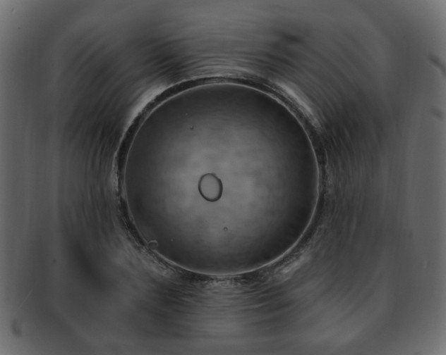 X0000093220883200709261629
