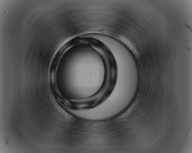 X0000093220884200709261629
