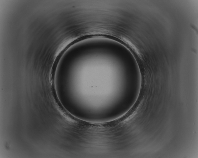 X0000093220885200709261629