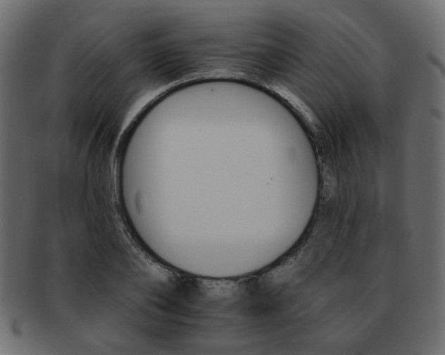 X0000093220886200709261629